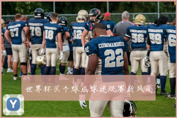 世界杯买个球成球迷观赛新风尚