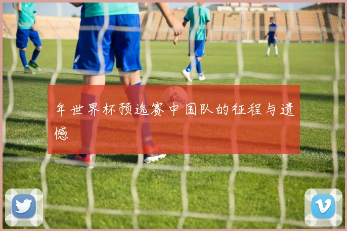年世界杯预选赛中国队的征程与遗憾