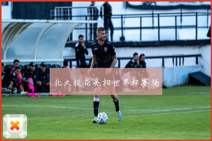 北大校花亮相世界杯赛场