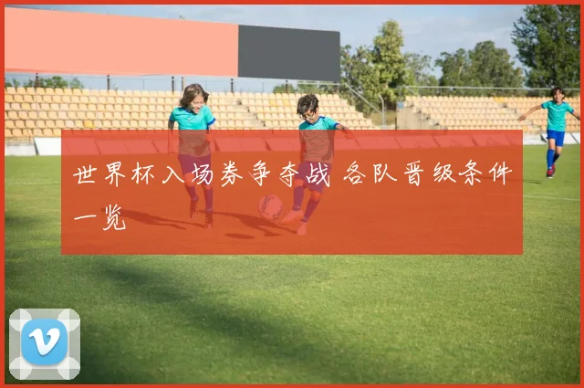世界杯入场券争夺战 各队晋级条件一览